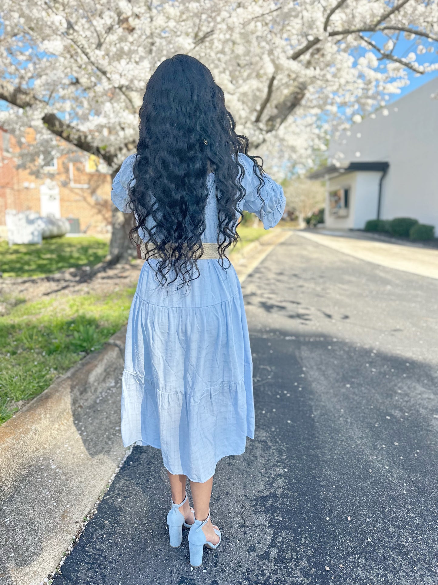 Alice Dress