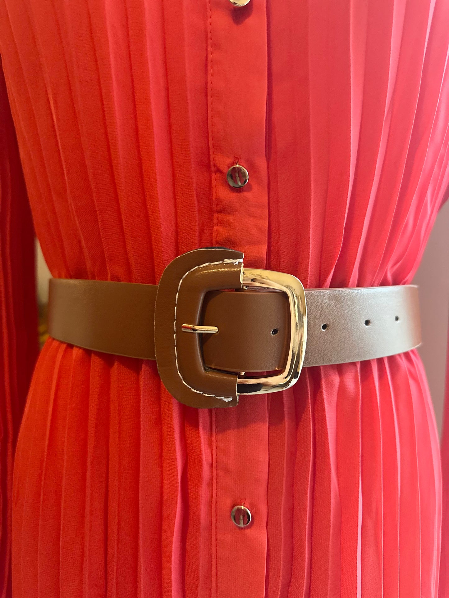 Veda Pleated Dress