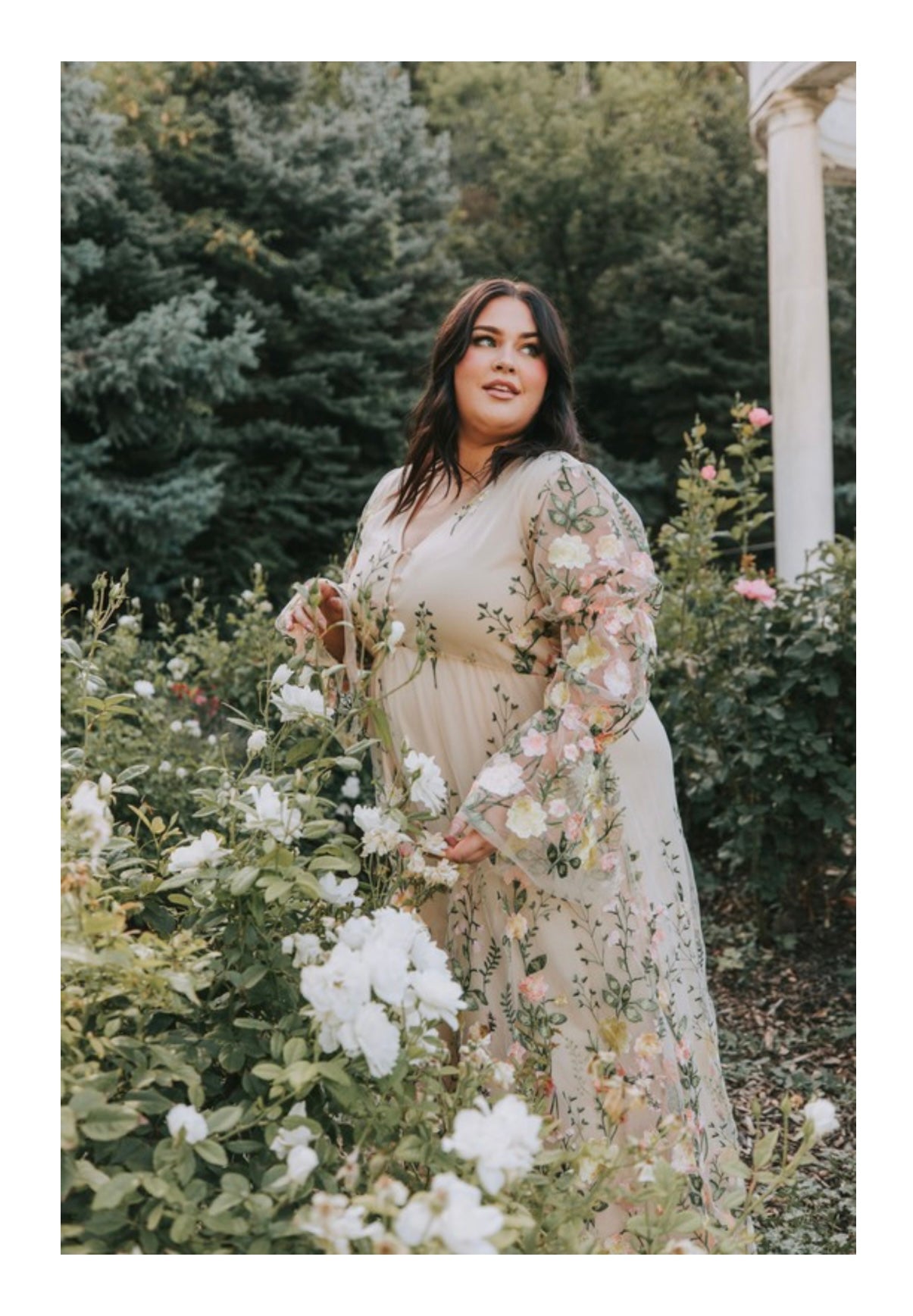 Bonita Dress
