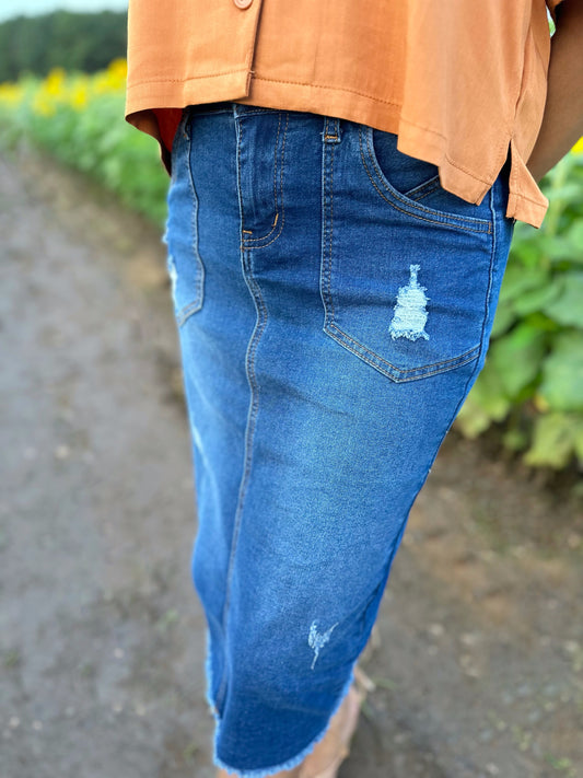 Daniela Denim Distressed Skirt