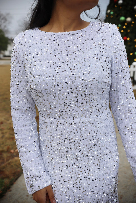 Haven Velvet Sequins Dress