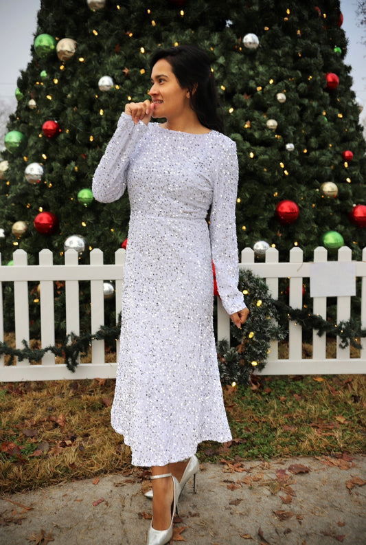 Haven Velvet Sequins Dress